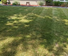 Avatar for TriState Lawncare - Inicio  Facebook
