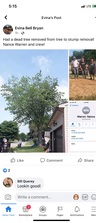 Avatar for P&N Lawn Care & Pressure Washing
