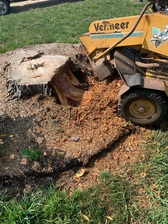 Avatar for Williams Stump Removal -