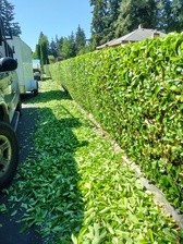Avatar for E&H Landscaping
