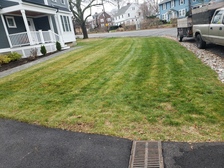 Ramos Landscaping logo