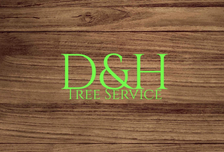 Logo for D&H Tree Service