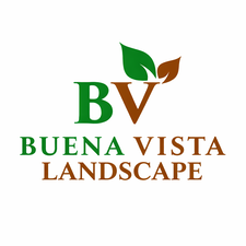Avatar for buena vista landscape