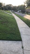 Avatar for Lower Alabama Lawn care