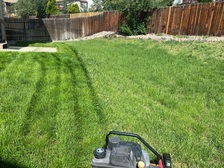 Logo for Lawns and Gardens Plus, LLC