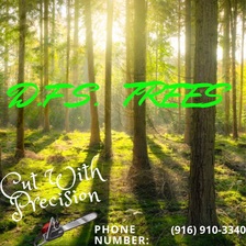 Logo for DFS Tree's