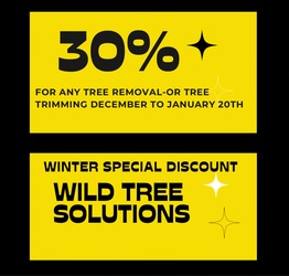 Wild Tree Solutions LLC logo