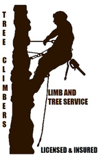 Tree Climber's Limb And Tree Service - Trang ch Facebook logo