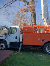 Logo for Mac Tree Managment and Construction