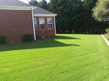 Logo for Phillips Landscaping