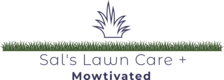 Avatar for Sal's Lawn Care Plus