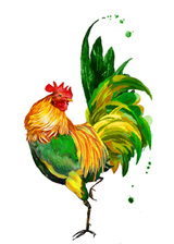 Logo for Designer Roost, LLC