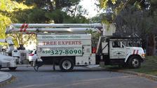 Logo for John Thompson Tree Expert