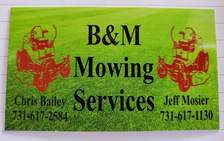 Avatar for B&M Lawn