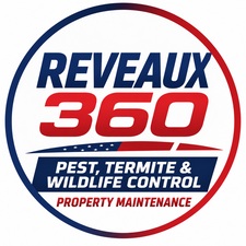 Avatar for Reveaux 360