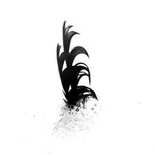 Avatar for Feather Irrigation