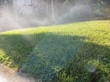 San Antonio Landscape & Irrigation logo