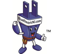 Avatar for Blue Electric Corp.