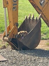 Avatar for NUNLEY'S EXCAVATING LLC