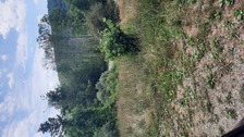 Avatar for C&j lawn and tree service - Facebook