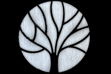 Avatar for R and F Services