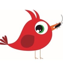 Cardinal Insect & Pest Solutions, LLC logo