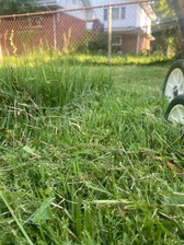 Avatar for Lawson's Lawn Care