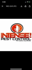 Avatar for Intense pest control