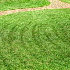 Avatar for Jays Lawn and Land