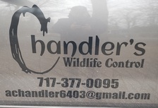 Chandlers Wildlife Control Services logo