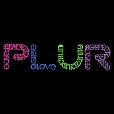 Avatar for PLUR Complete Services