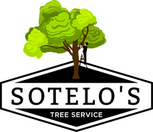 Sotelo Tree Service - Home Facebook logo