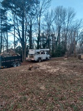Logo for McNeair's Tree Service, LLC