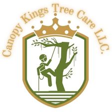 Avatar for Canopy Kings Tree Care, LLC