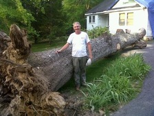 Logo for Nation R & E Bush Hogging & Tree Removal