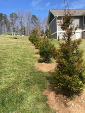 Exterior Solutions Asheville, LLC logo