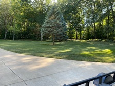 Avatar for Lawn Mowing MI