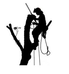 SMITH FAMILY TREE SERVICE logo