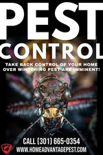 Home Advantage Pest Services - Accueil Facebook logo