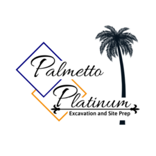 Logo for Palmetto Platinum Services