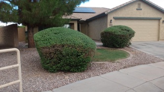 Lagunas Lawn Care, LLC logo