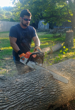 Avatar for The Wood King