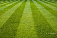 Avatar for Southern Mississippi landscapes LLC