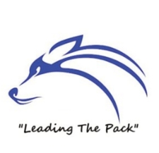 Logo for BLUE WOLF Construction, LLC - Home Facebook