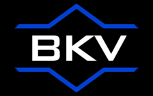 Avatar for BK Virtual Homes