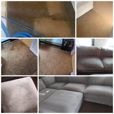 Avatar for AB Fly Bye Knight Carpet and Upholstery Cleaning Services