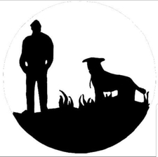 Avatar for Camo Construction & Landscape, LLC