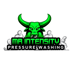 Mr. Intensity Pressure Washing logo