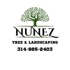 Avatar for Nunez Tree & Landscaping