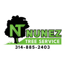 Avatar for Nunez Tree & Landscaping
